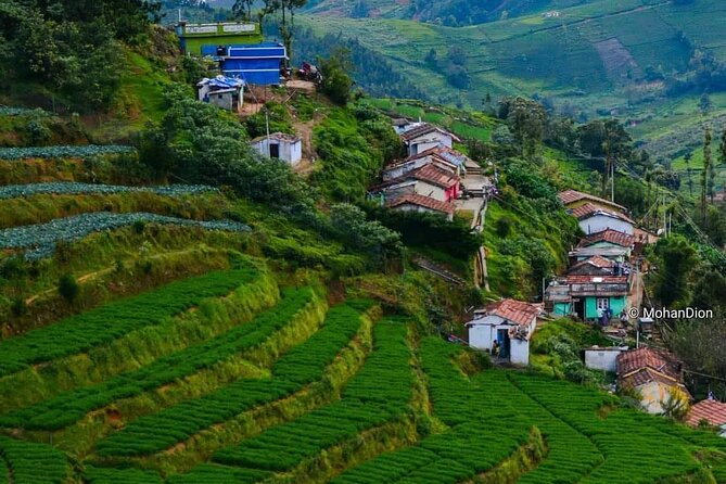 Best of Kerala Tour Package 5N/6D | SVR Tours
