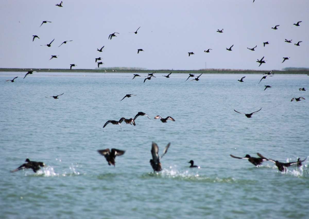 Orissa Tour Package 3N/4D | SVR Tours
